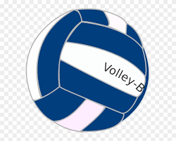 blue and white volleyball